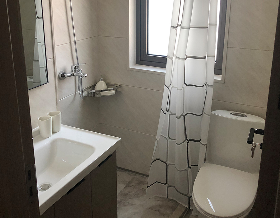 PEC Wall Board Horizontal Prefabricated Modular Sanitary Bathrooms